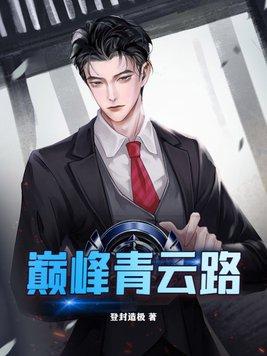 巅峰青云路TXT电子书