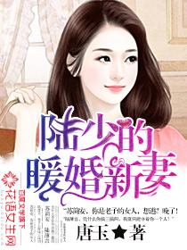 陆少的暖婚新妻易读