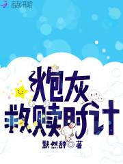炮灰的救妹计划免费阅读