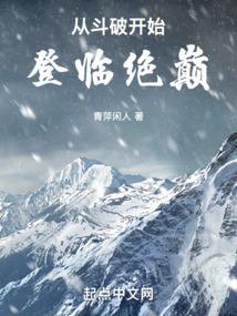 从斗破开始登临绝巅 篱笆好